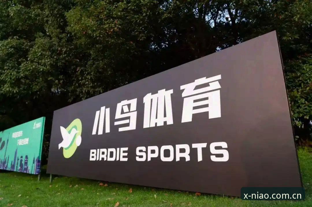小鸟体育综合赛程焕新实测：从注册到客户端安装的完整操作教程与三个避坑提醒